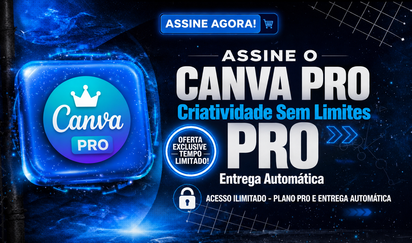 CANVA PRO 1 ANO PRIVADO