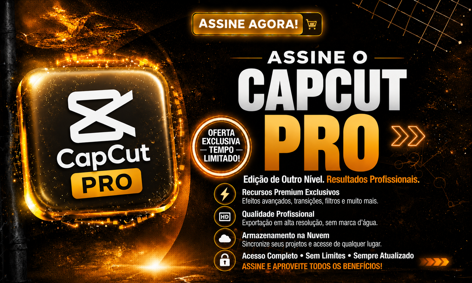 CAPCUT PRO 1 ANO